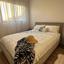1 bedroom apartment for rent zakaki limassol 7898828 thumbnail 17702827