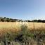 land for sale marathounta paphos 1419828 thumbnail 15840192