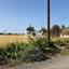 land for sale marathounta paphos 1419828 thumbnail 15840195