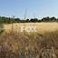land for sale marathounta paphos 1419828 thumbnail 15840198