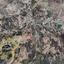 land for sale mitsero nicosia 7740828 thumbnail 10254202