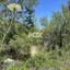 land for sale pera pedi limassol 1147828 thumbnail 5561837