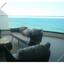 3 bedroom apartment for rent limassol municipality limassol 1595928 thumbnail 12622835