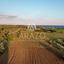 land for sale mazotos larnaca 1625928 thumbnail 14181202