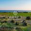 land for sale mazotos larnaca 1625928 thumbnail 14181206