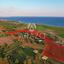 land for sale mazotos larnaca 1625928 thumbnail 14181218