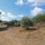 land for sale protaras famagusta 8291928 thumbnail 14059140