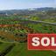 land sold psematismenos larnaca 8301928 thumbnail 14083791