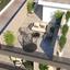 1 bedroom apartment for sale aradippou larnaca 1856038 thumbnail 6751895