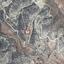 4014 SQM Land for sale in Kato Drys, Larnaca thumbnail 7313150