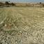 land for sale pera orinis nicosia 1062038 thumbnail 16181591