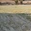 land for sale pera orinis nicosia 1062038 thumbnail 16181592