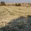 land for sale pera orinis nicosia 1062038 thumbnail 16181593