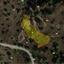 land for sale pera pedi limassol 1262038 thumbnail 2013750