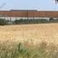 land for sale latsia nicosia 1753138 thumbnail 4806035