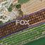 land for sale nikokleia paphos 8333138 thumbnail 15400218