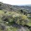 land for sale steni paphos 1270138 thumbnail 5555484