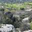 land for sale steni paphos 1270138 thumbnail 5555489
