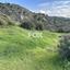 land for sale steni paphos 1270138 thumbnail 5555491