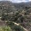 15441 SQM Land for sale in Koili, Paphos thumbnail 15598559