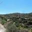 land for sale koili paphos 823238 thumbnail 17253456