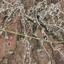 land for sale mitsero nicosia 946238 thumbnail 15602816