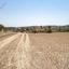 land for sale mitsero nicosia 946238 thumbnail 15602821