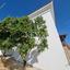 3 bedroom detached house for rent acheleia paphos 8890338 thumbnail 17318927