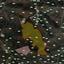 42141 SQM Land for sale in Klonari, Limassol thumbnail 4497998