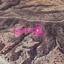 land for sale agios theodoros larnacas larnaca 7872338 thumbnail 15714534