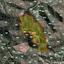 land for sale klonari limassol 232338 thumbnail 853174
