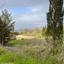 land for sale stroumbi paphos 1355338 thumbnail 5630184