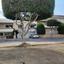 studio apartment building for sale agios nektarios limassol 8633438 thumbnail 15904633