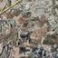 2007 SQM Land for sale in Anglisides, Larnaca thumbnail 16737615
