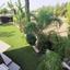 5 bedroom detached house for sale livadia larnacas larnaca 7820538 thumbnail 10676219