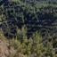 land for sale louvaras limassol 7868538 thumbnail 15596578