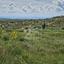 plot for sale agia marinouda paphos 8413538 thumbnail 15207877