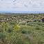 plot for sale agia marinouda paphos 8413538 thumbnail 15207879