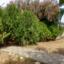 2 bedroom town house for sale agios athanasios limassol 1682638 thumbnail 4386467