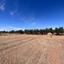 land for sale achna famagusta 8338638 thumbnail 14344079