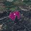 land for sale lysos paphos 1183638 thumbnail 14890165