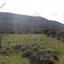 land for sale pachna limassol 8785638 thumbnail 16655920