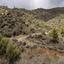 4683 SQM Land for sale in Ora, Larnaca thumbnail 15603476