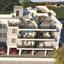 2 bedroom apartment for sale sotira ammochostou famagusta 1699738 thumbnail 16013911