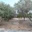 3 bedroom detached house for sale kiti larnaca 1517738 thumbnail 5653485