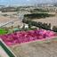 3 bedroom detached house for sale koloni paphos 8565738 thumbnail 16063292