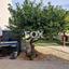 4 bedroom detached house for rent agios silas limassol 1211738 thumbnail 14868332
