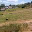 land for sale polemi paphos 9001738 thumbnail 18265867