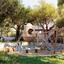 3 bedroom detached house for sale xylotymvou larnaca 8874838 thumbnail 17287627