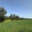 land for sale linou nicosia 1810838 thumbnail 6230250